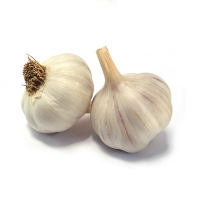 Garlic Oil