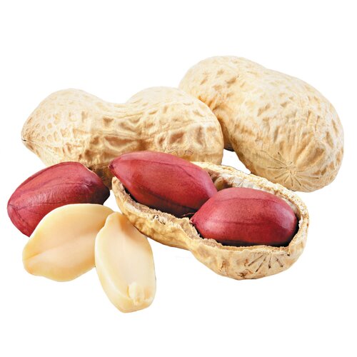 Peanut Oil