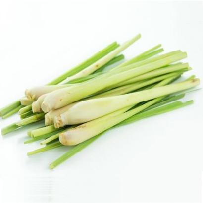 Citronella Oil