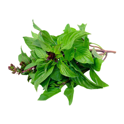 Sweet Basil Oil