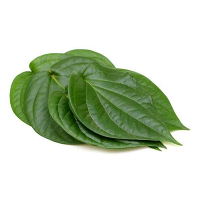 Betel Leaf Oil